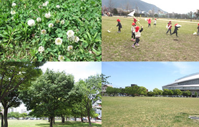 三萩野公園(みはぎのこうえん)