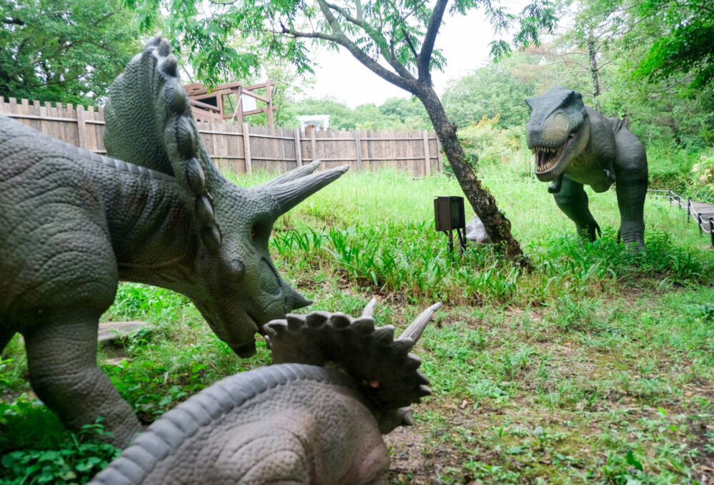 グリーンパーク